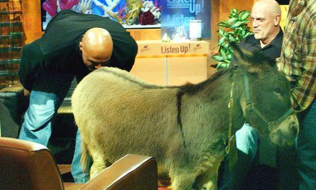 姚明在国家队最辉煌的时刻,姚明在国家队有多强