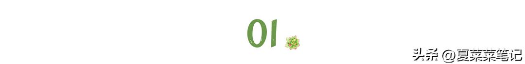 上班族做什么副业增加收入,上班族做什么副业最有前景