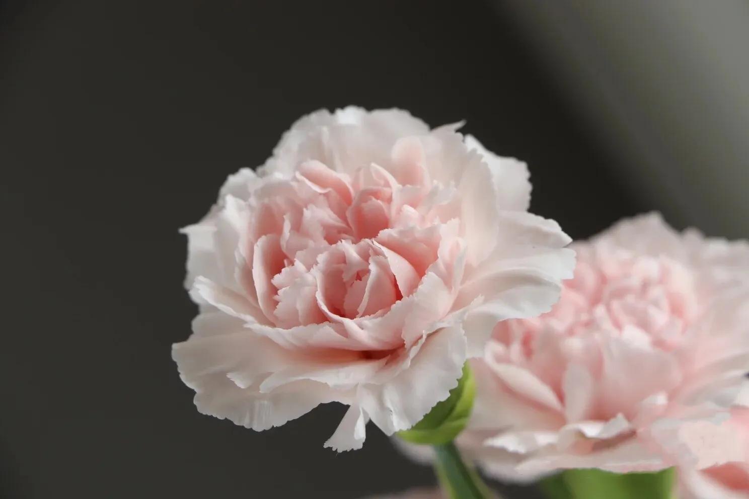 母亲节暖心文案给老婆,母亲节暖心文案