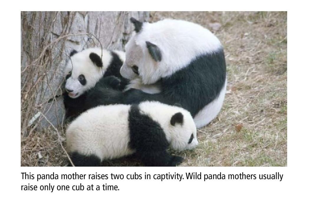 暑假带孩子怎么玩好,暑假带娃怎么玩