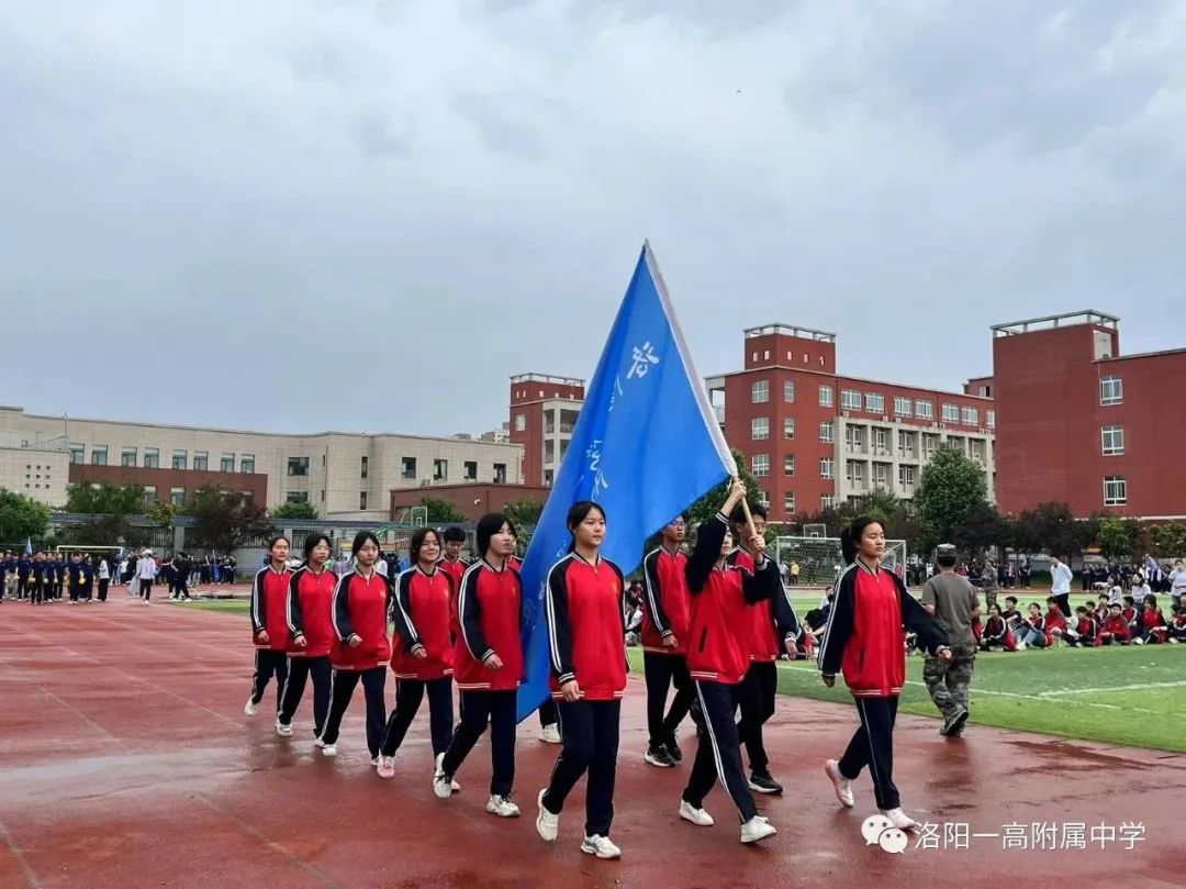 运动健儿展风采,运动展风采视频