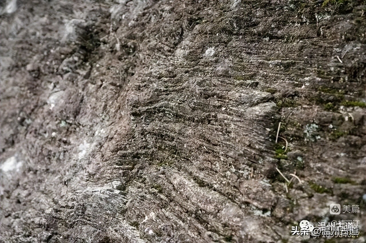 雁荡山的七大景区,雁荡山八大景区哪个更值得去