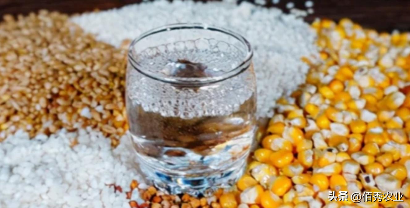 酒水利润一般在多少合适,酒水的利润是多少钱一瓶