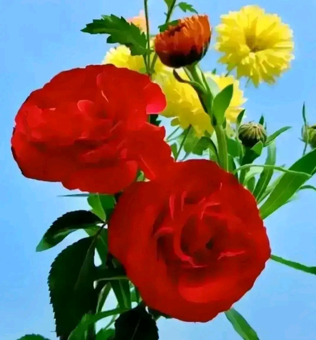 心若简单一切都是浮云,心若简单一切便安好