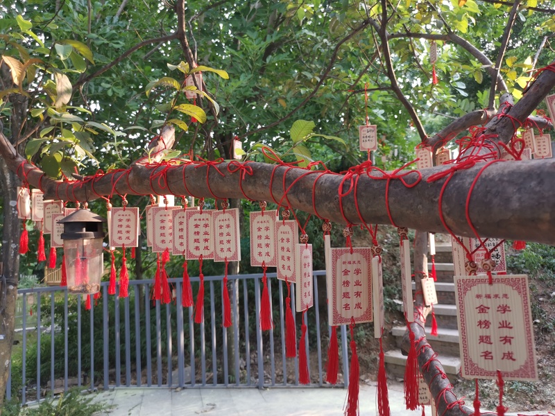 百年老校传承基因,百年母校古韵书香