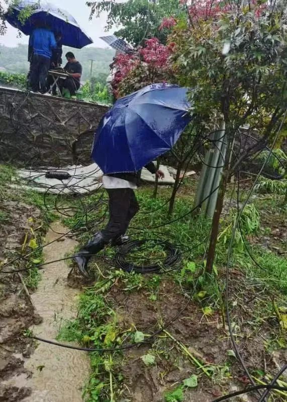 浙江联通：今年最强，“梅花”登陆！