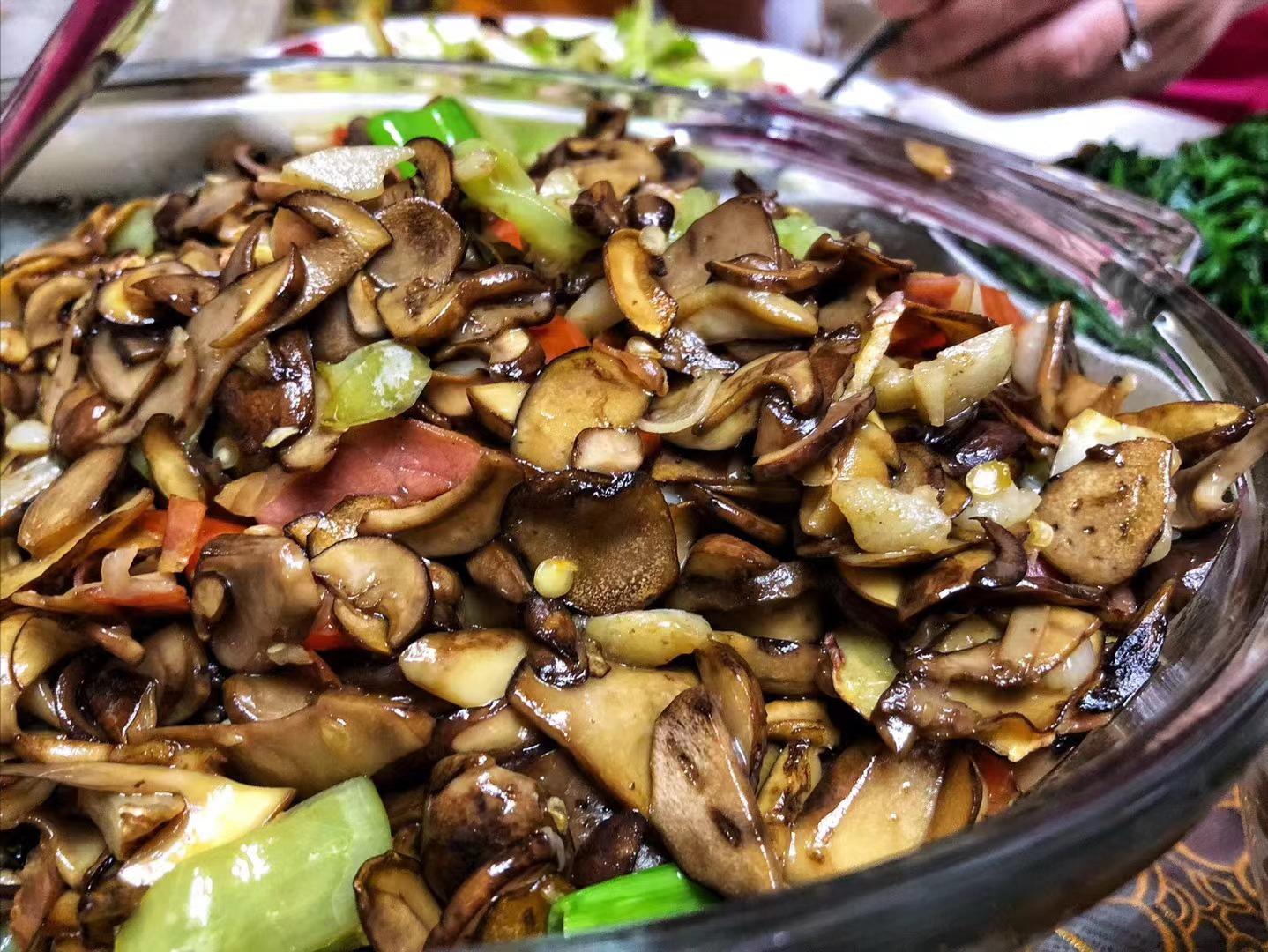 6、7月份的云南,是一个癫狂的季节!(菌局有约)