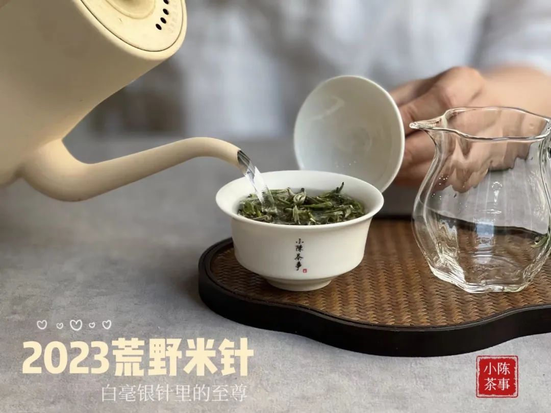 3年的白茶会寒凉吗,新白茶放久了就变成老白茶