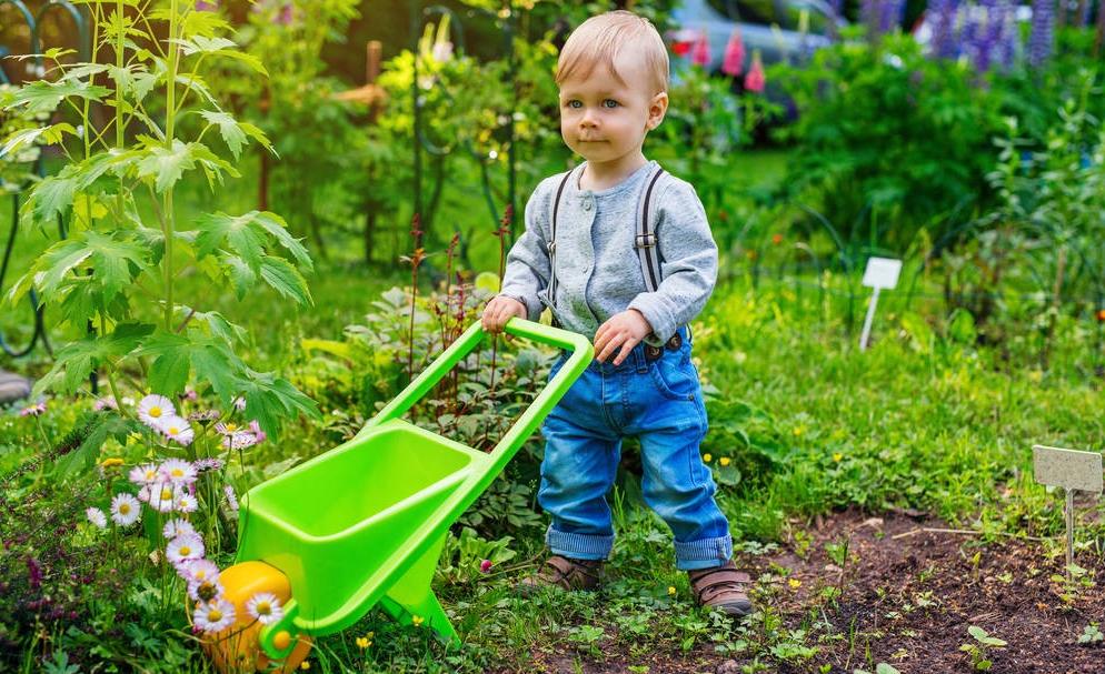 宝宝起名字最简单好听两个字,宝宝起名字大全诗意好听两个字