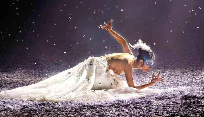 金星最近的舞蹈表演,被金星高度评价的舞蹈