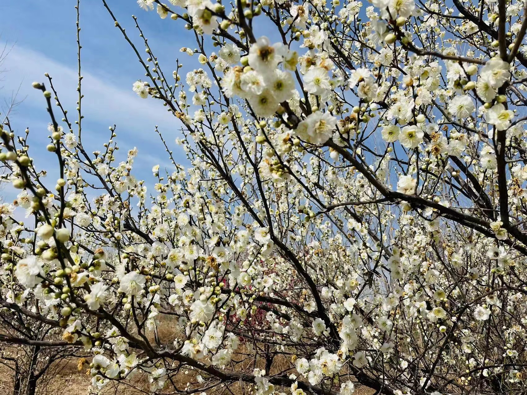 室内郑州周边半日游最佳去处遛娃,郑州周边遛娃一日游旅游景点推荐