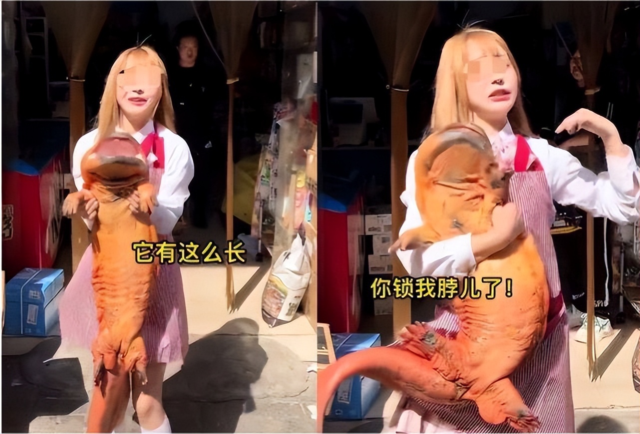 网红吃鲨鱼的全过程,网红吃鲨鱼会被判几年