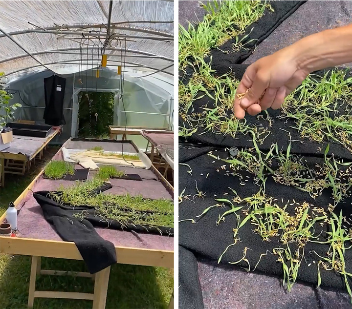 皮草变成草皮了,皮草过时了今年流行这12款