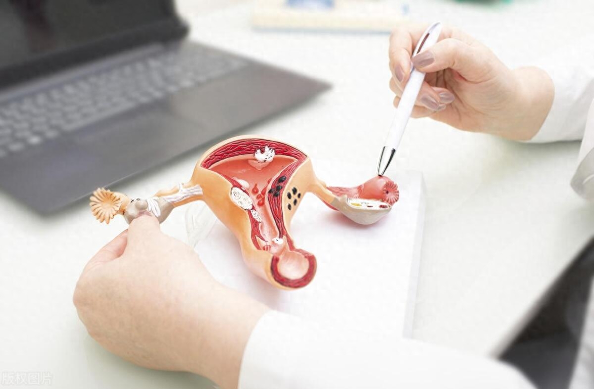 儿媳晒2000元年货，婆婆：啥时候回家？儿媳：不回，我儿子还没阳