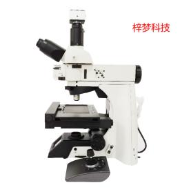 涓婃捣姊撴ⅵ绉戞妧,涓婃捣姊撴ⅵ绉戞妧鏈夐檺鍏徃