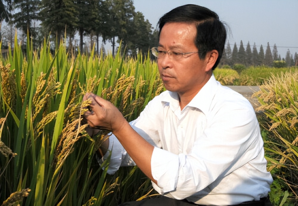 从吃饱到吃太饱,从吃饱到吃好餐桌变化