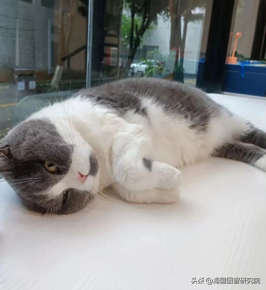 三季度，谁是海图的“明星”？