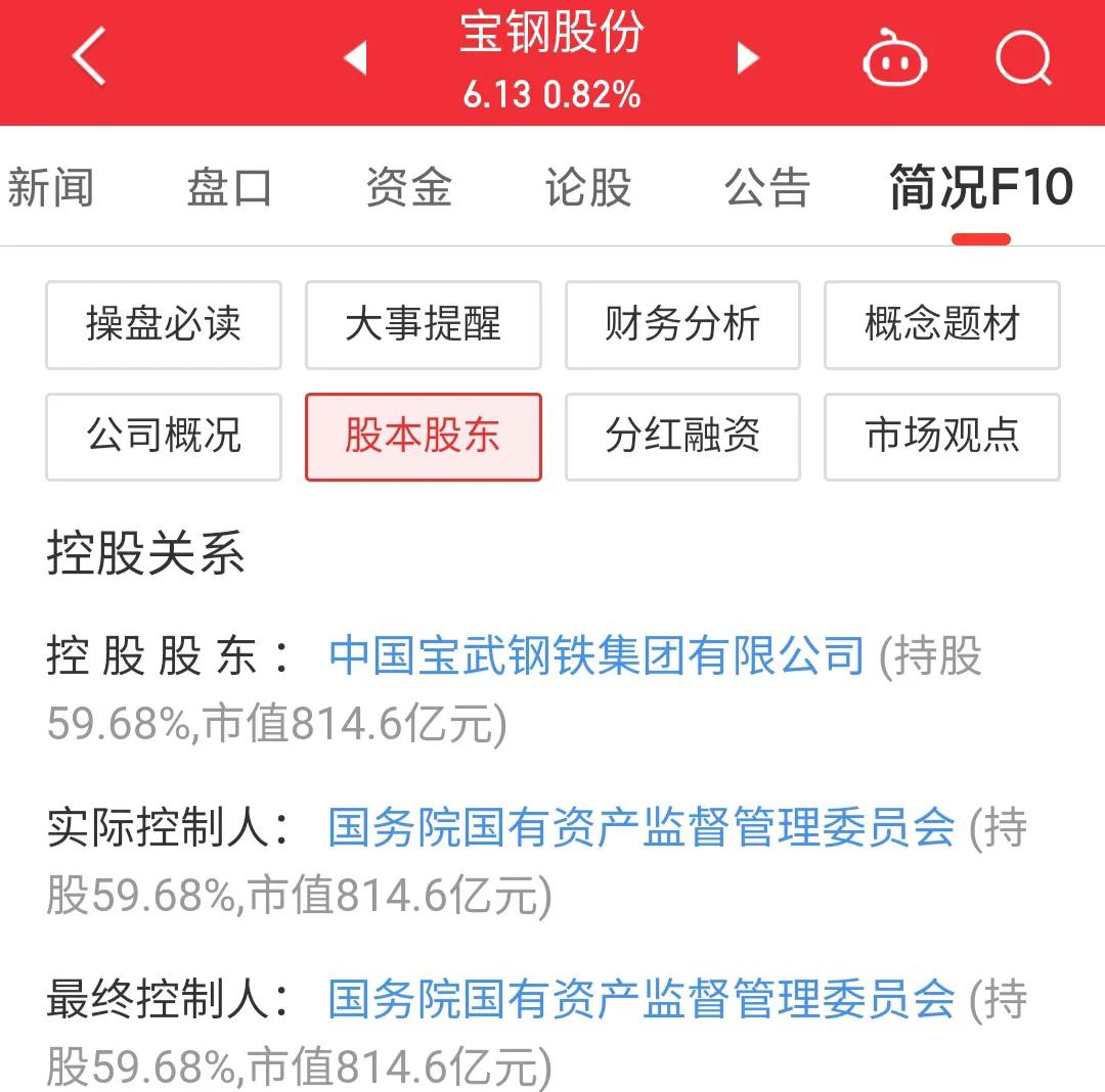 600019宝钢股份千股千评,600019宝钢股份的未来