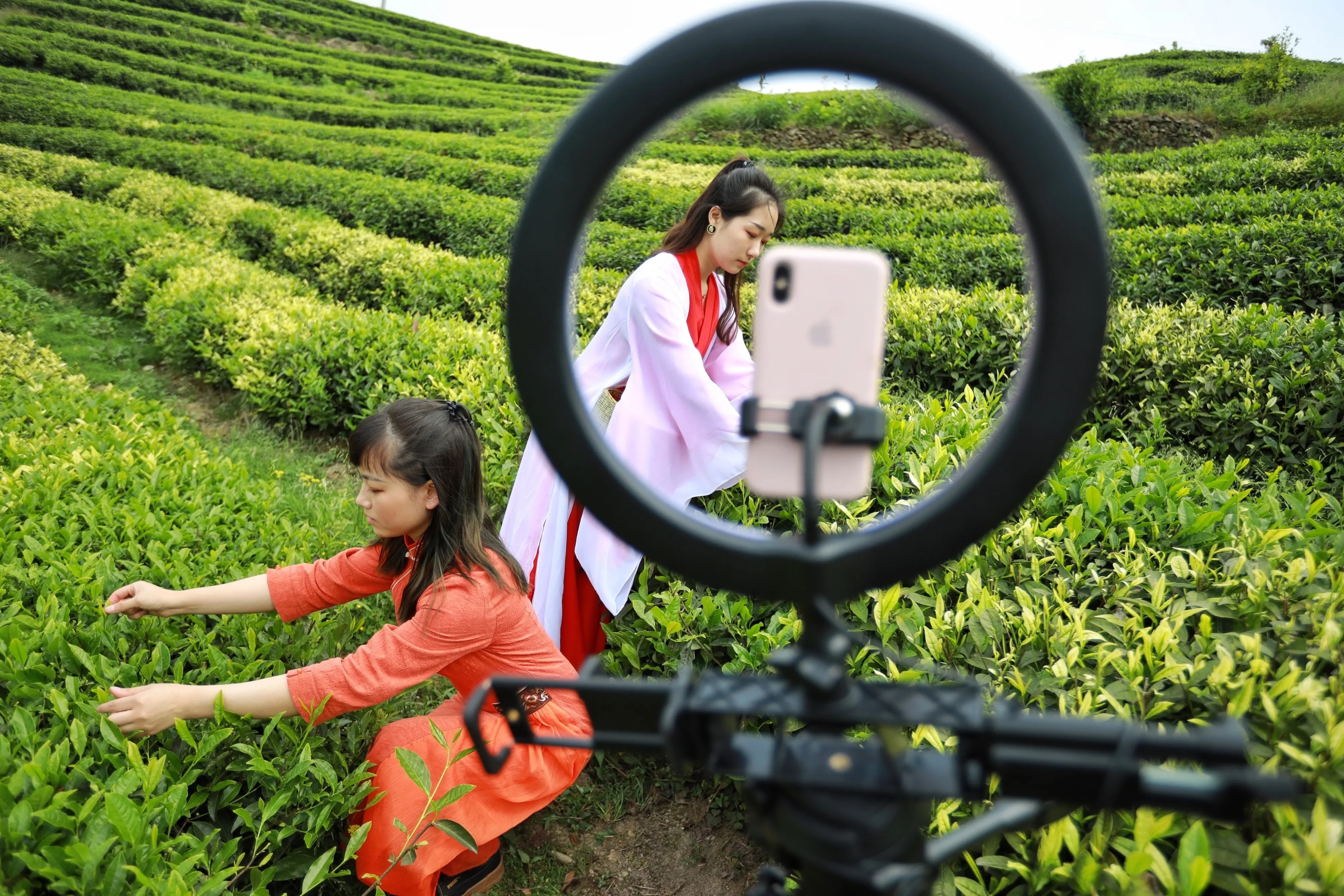 抖音直播哪些主播赚钱,抖音主播赚钱