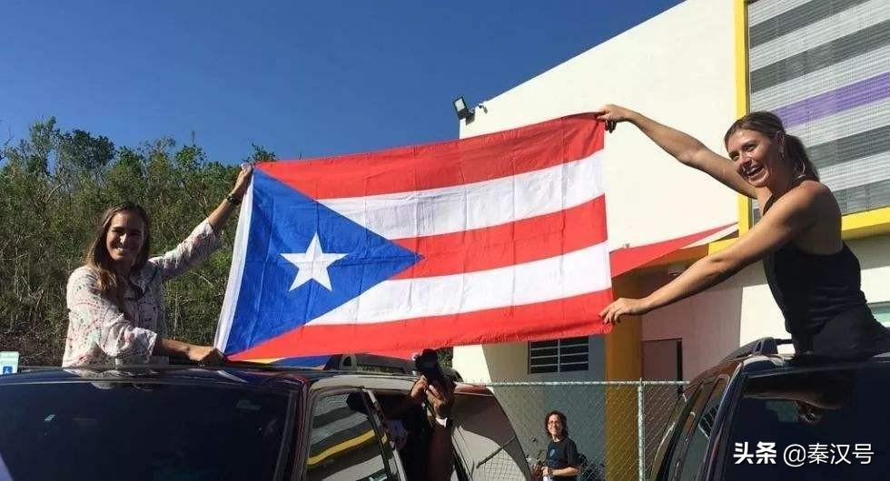 波多黎各薅羊毛,收下我的膝盖吧