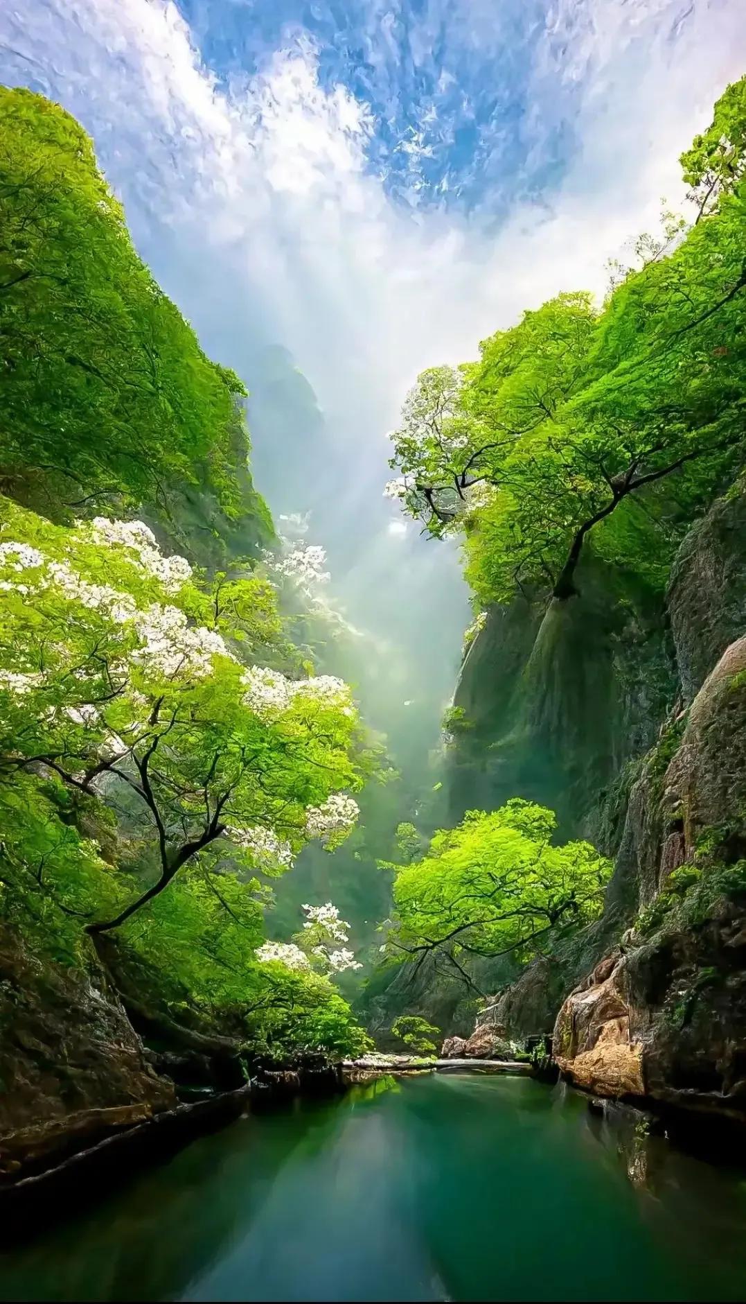 2023年02月27日星期一农历:癸卯年【兔年】二月初八八九第5天