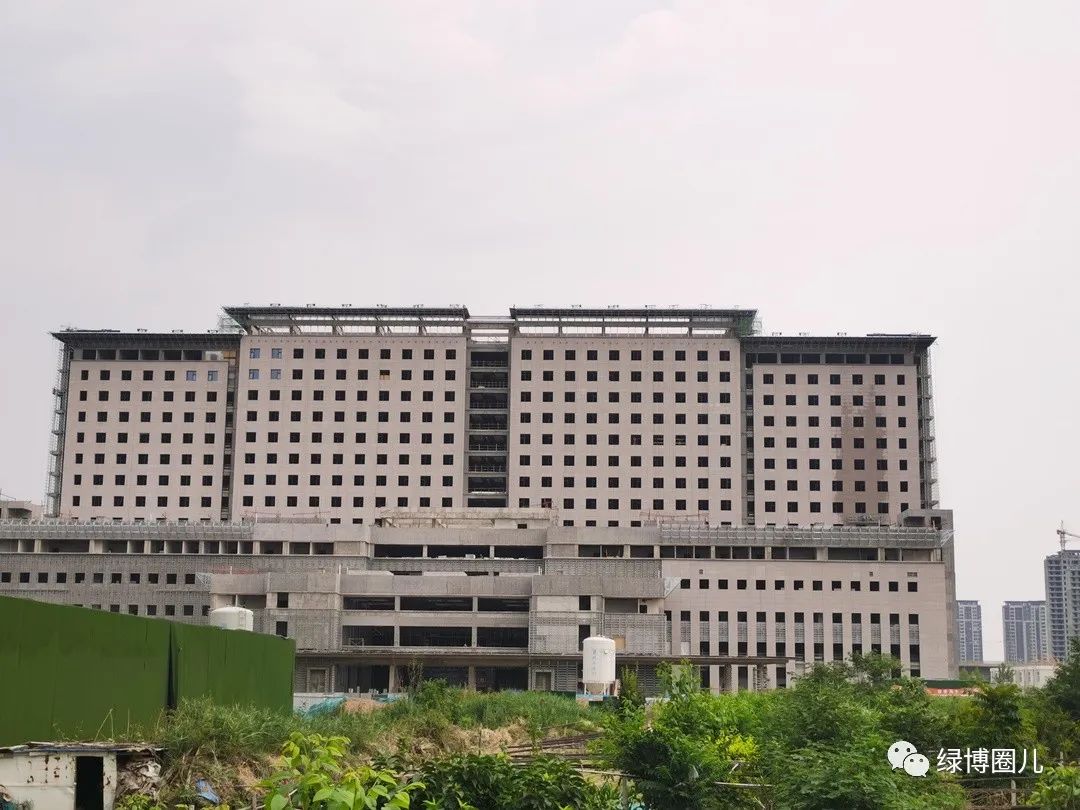 郑大三附院郑州分院,郑大三附院最新消息