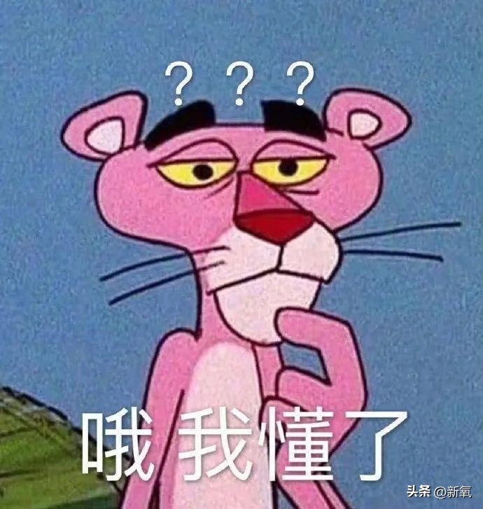 马东锡和芮呈和如何认识的,马东锡和芮呈和合影