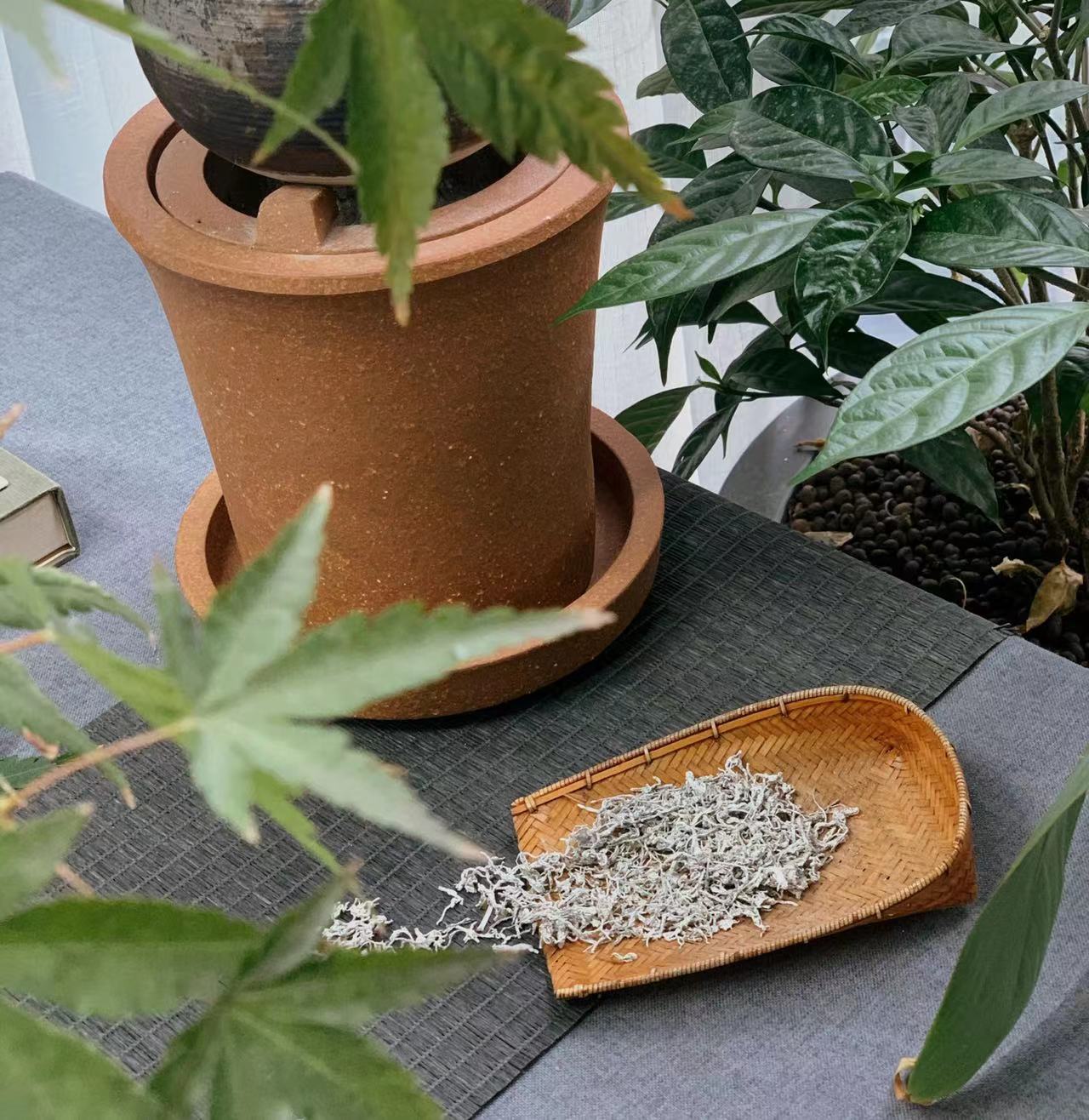 高端莓茶礼盒,小界莓茶怎么泡