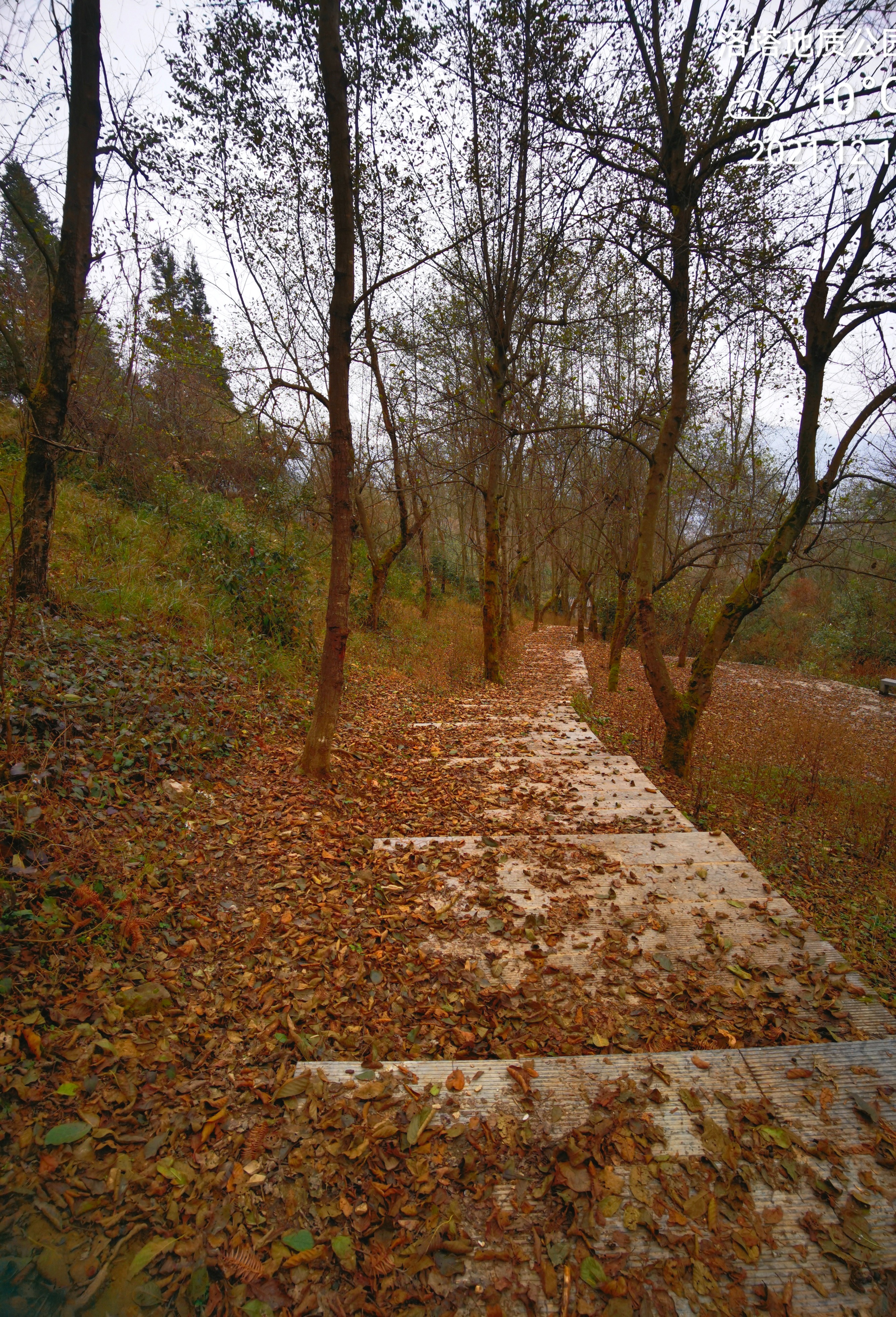 这里的两部百科全书值得一读