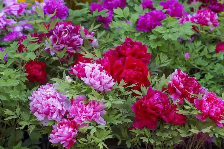 这个季节去哪里玩最合适昆明周边,昆明周边过年旅游推荐