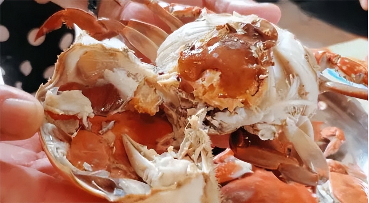 螃蟹刚死常温放了几个小时能吃吗,活螃蟹冷藏放了十天还能吃吗