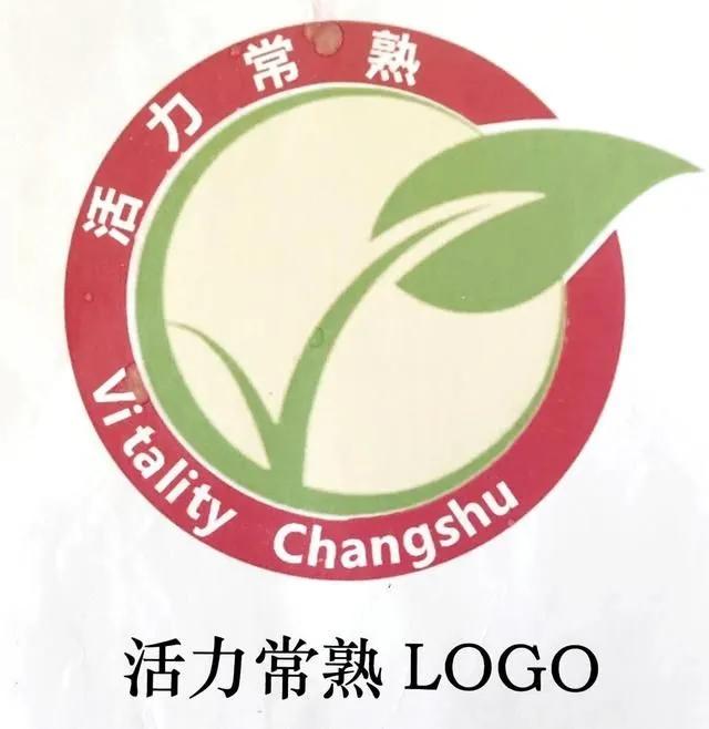 西餐礼仪|浸润式的学习，仪式感生活的开端