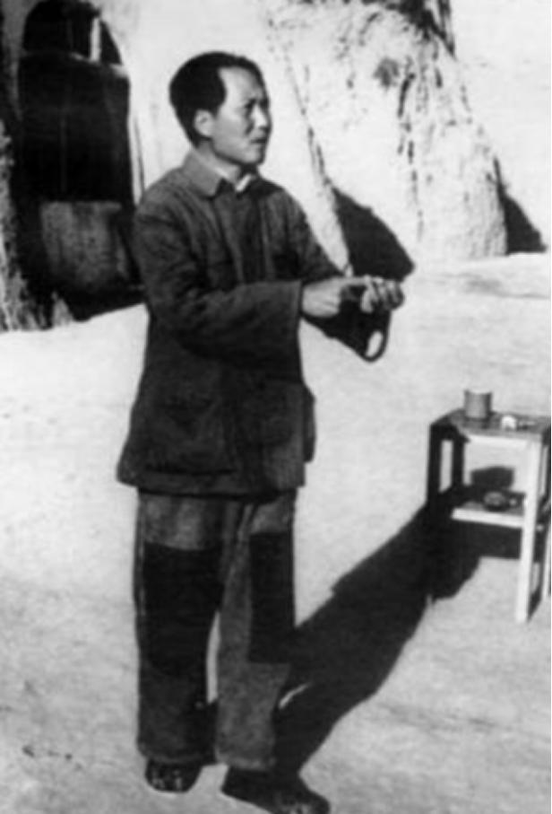 黑狸虎王兆相,黑狐王被小虎拿石头砸死