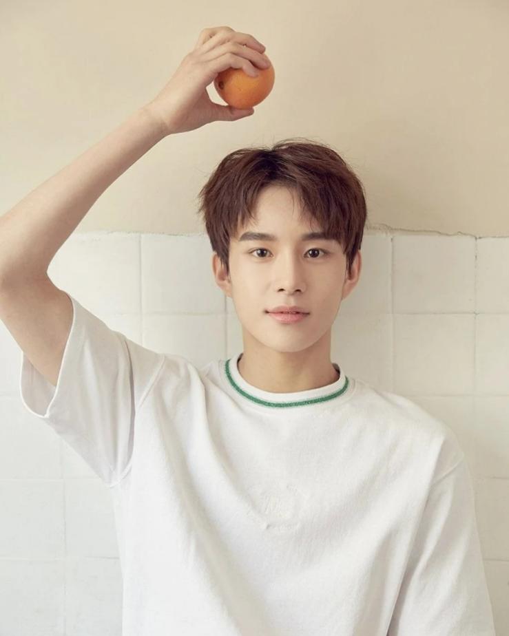 刘柏辛韩国选秀kpopstar,韩国kpop的四人男团