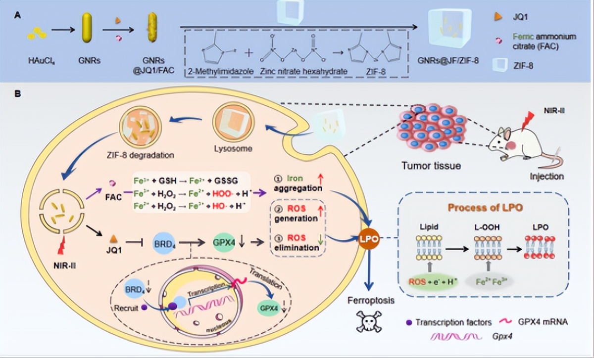 纳米新型材料,磁性纳米材料在癌症中的应用