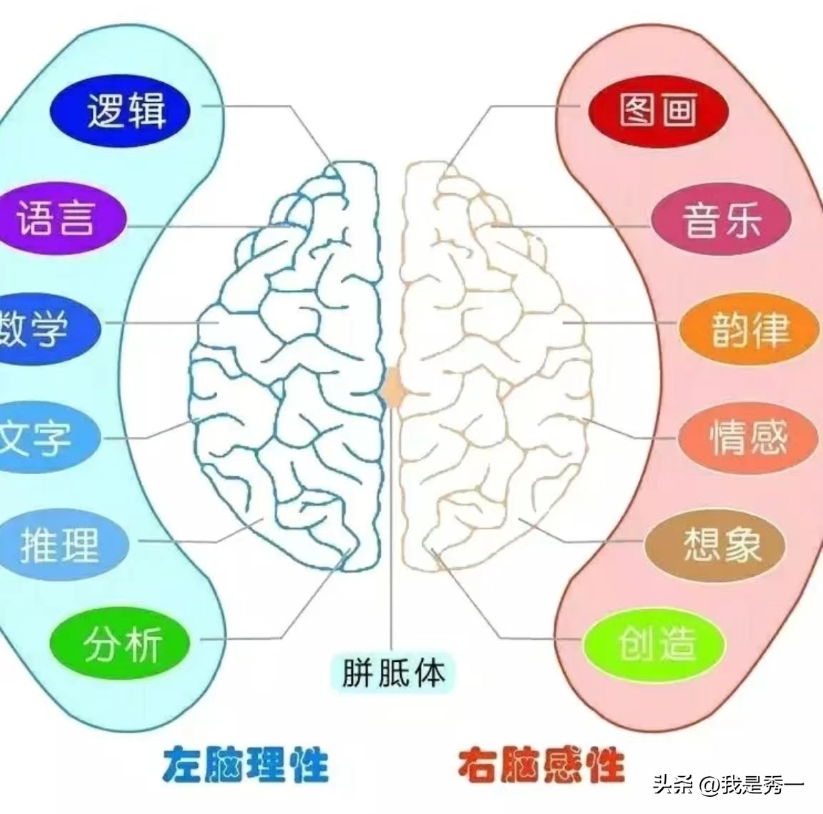 学画圆圈思维导图,为什么思维导图必须手绘