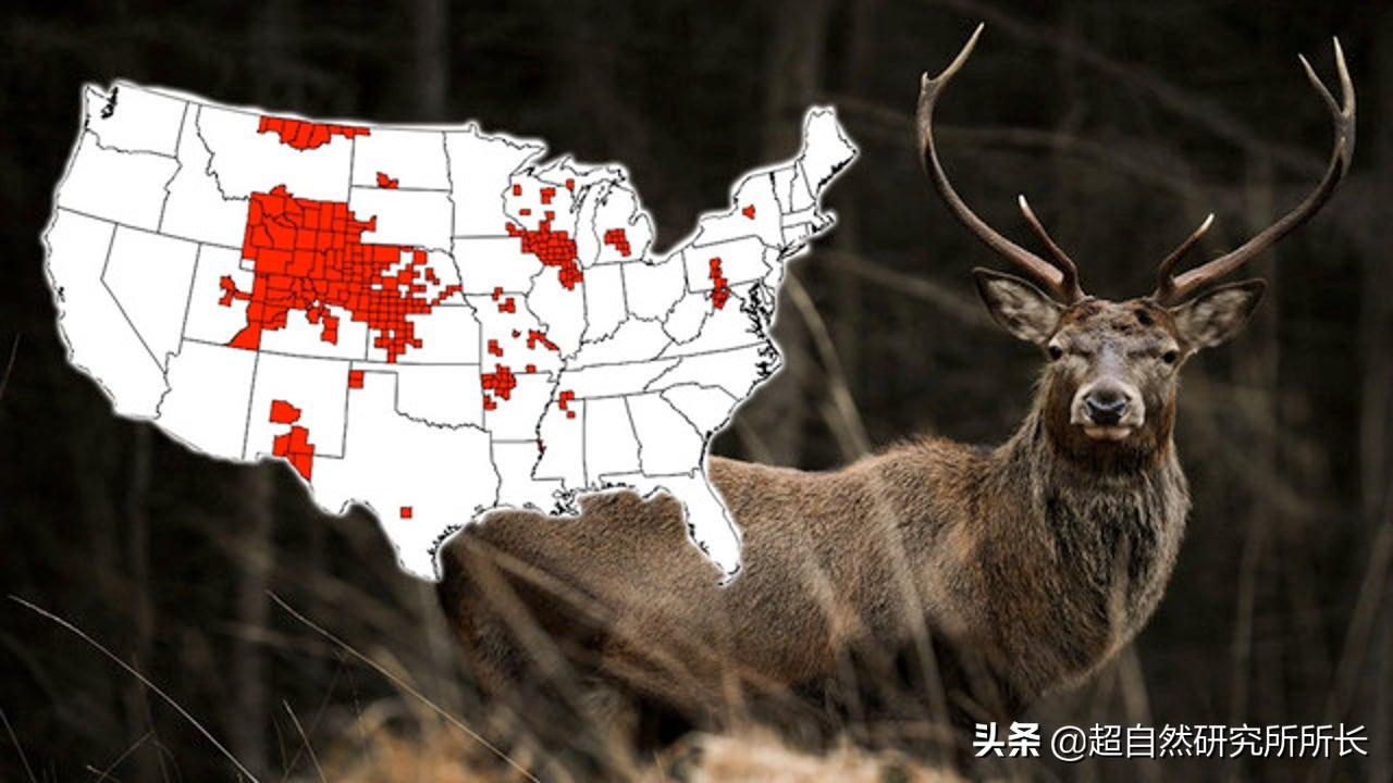 人类真的可能会变丧尸吗,人类有可能变成僵尸吗