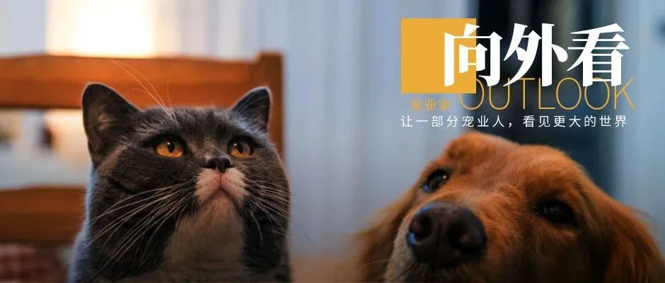 天猫京东双十一网络促销,京东双11快递