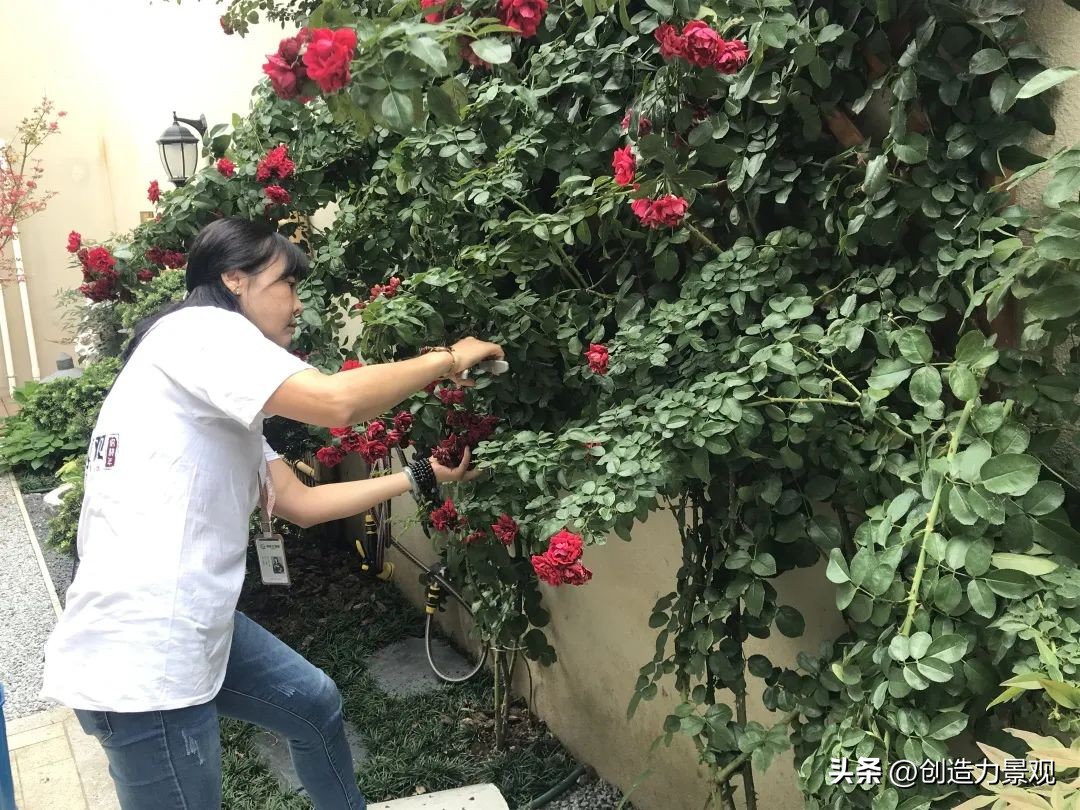 周末回访老客户的文案,回访老客户的主题