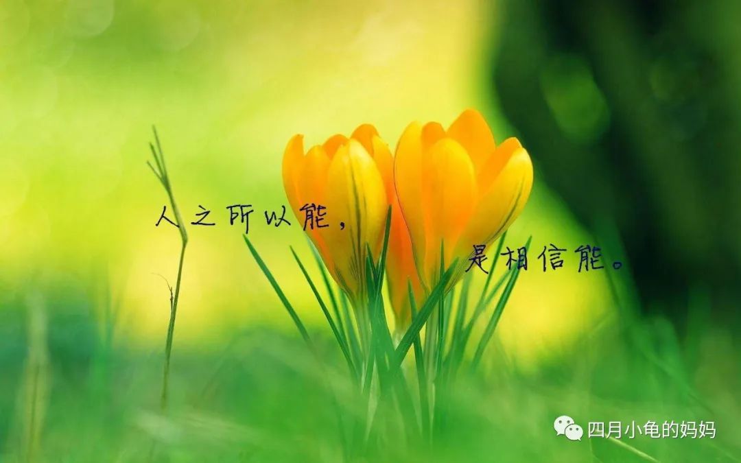 公务员上岸的真实感受,公务员上岸后体验什么