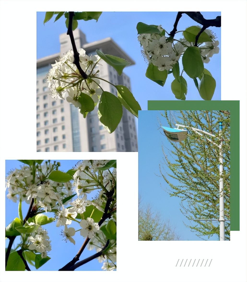 创造多项第一世界纪录,中国首次跃居世界第一新闻点评