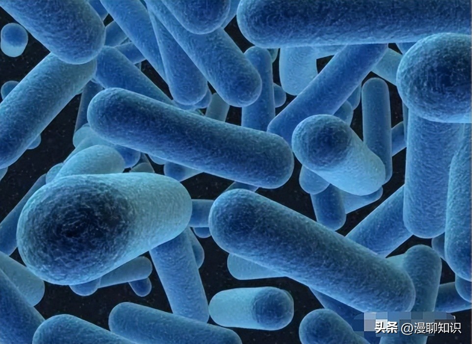 马传染性子宫炎传染性较强，它的传播途径有哪些