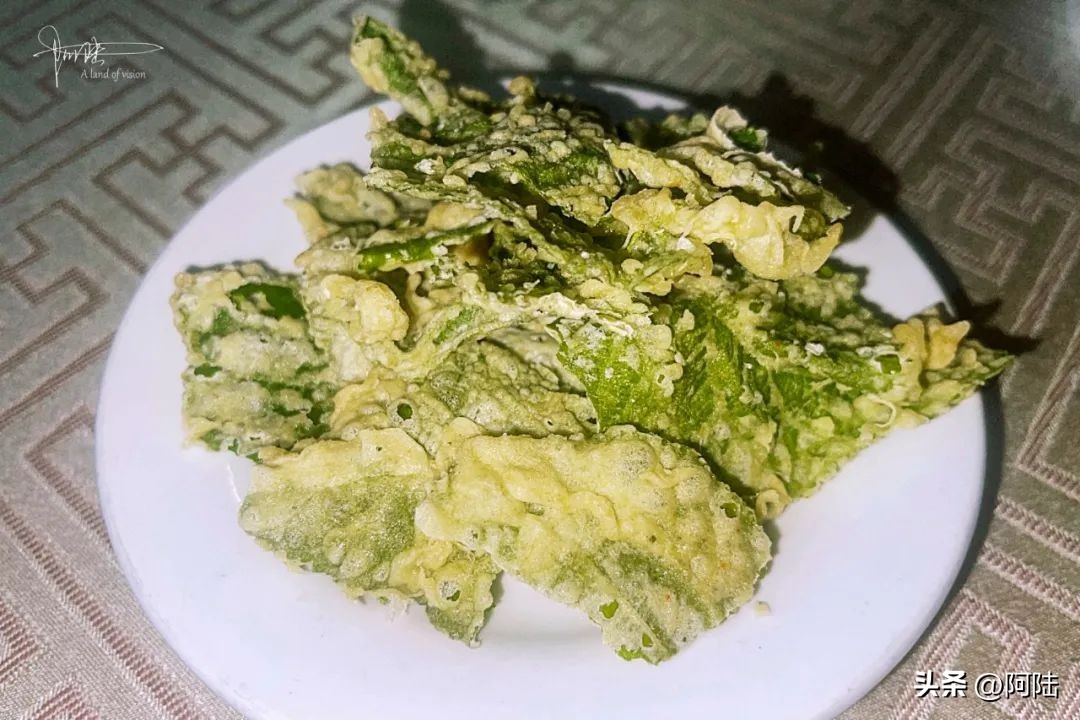 泰顺树上的野菜,3月份浙江这边的野菜