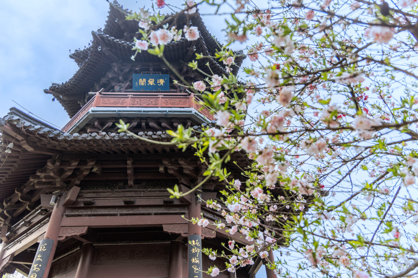 春日下江南杭州,泰州一日游攻略美食