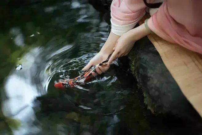 诗词经典名句100首,25首开头就是名句的古诗词