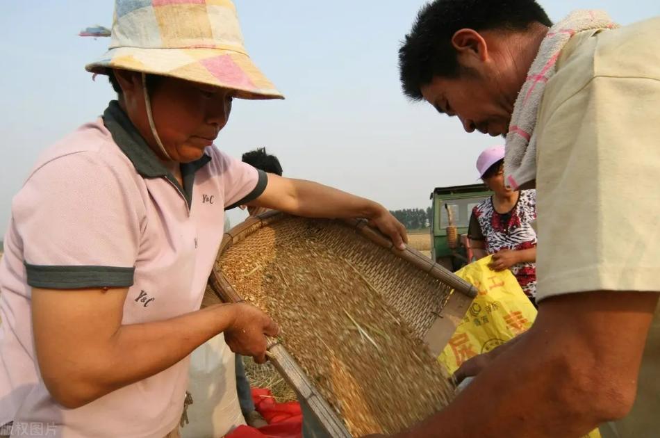 对粮农一次性发放多少补贴,怎么领取政府发放农业补贴