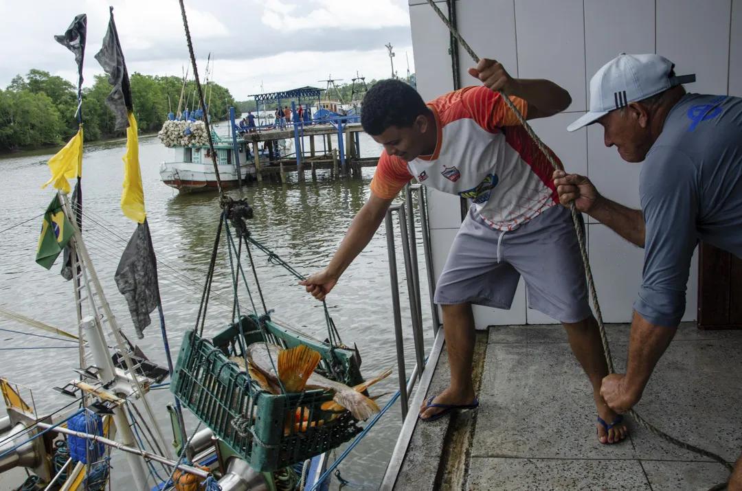巴西这种鱼类衍生品分文不值，被中国炒到了1000一斤