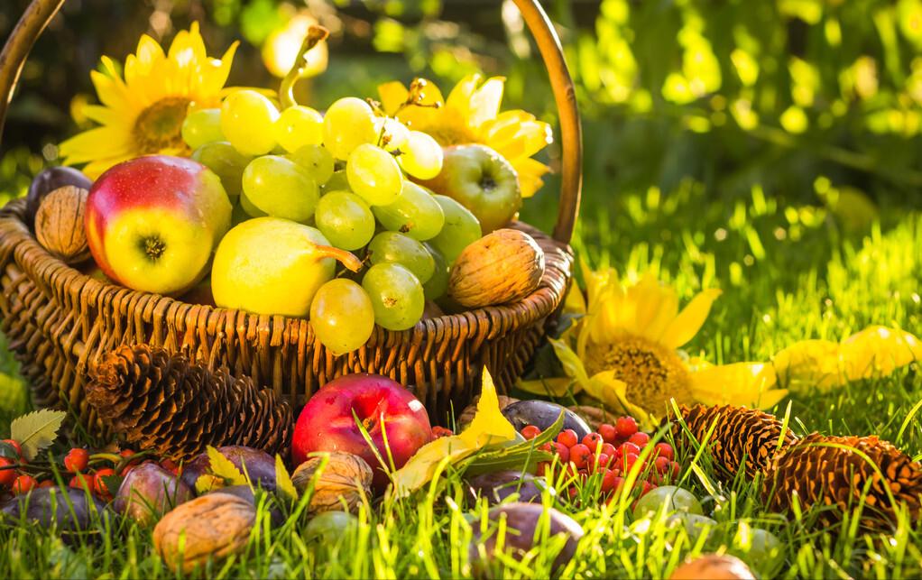 高山有意皆禅语,流水无情挂孤帆