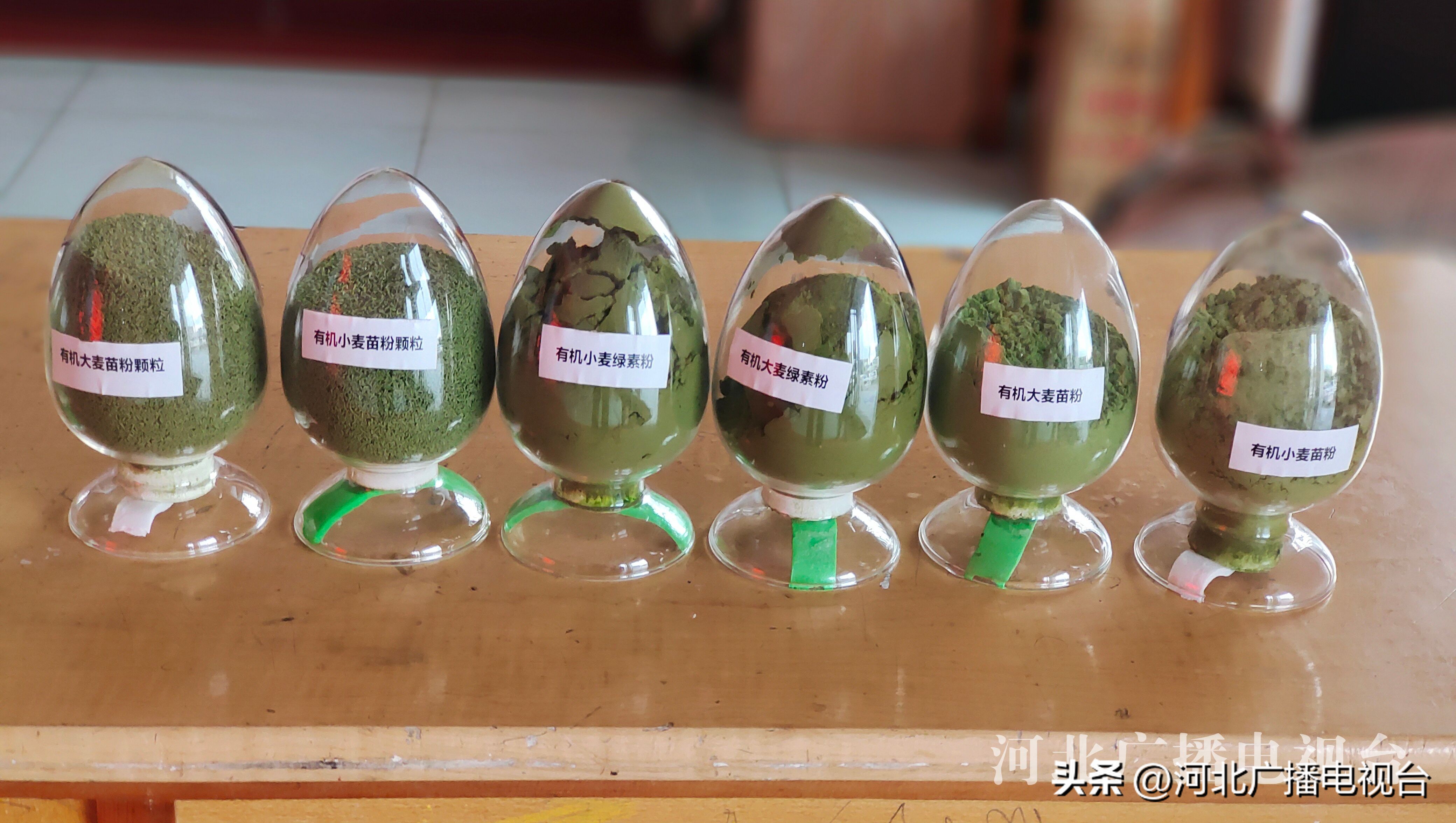 衡水市编制的《食品安全地方标准麦苗粉》填补了国内空白