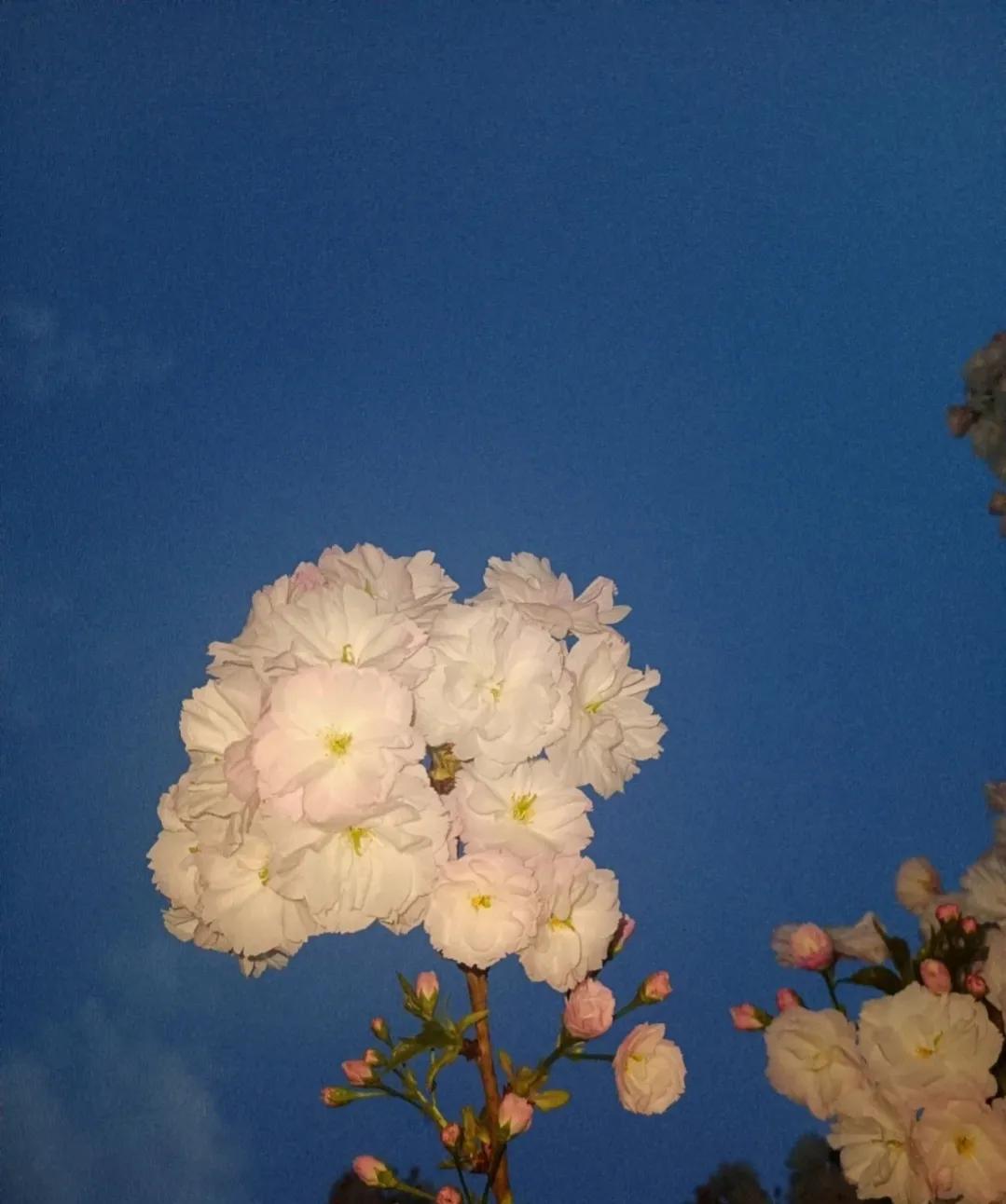 一般做梦都是什么梦,做梦经常梦到死去的人是什么意思